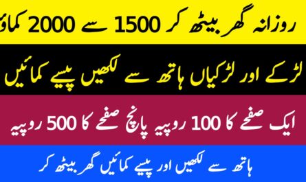 Online work Assignment Without Investment 2023